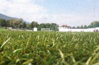 Serie C e D, il calcio in Piemonte è pronto a ripartire